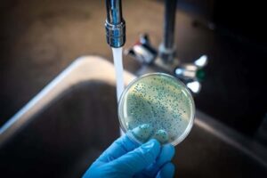 Hiểm họa từ hệ thống nước trong nhà bạn bởi Legionella